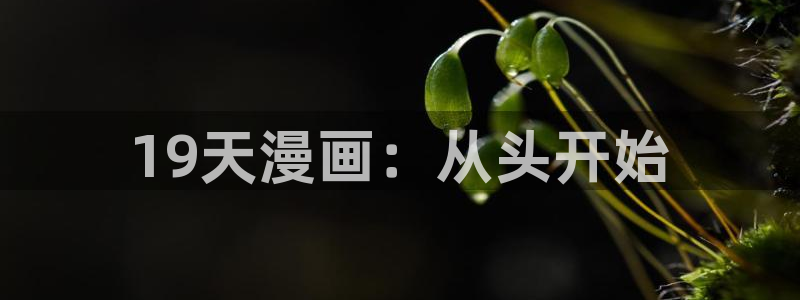 汗汗漫画在线进入入口：19天漫画：从头开始