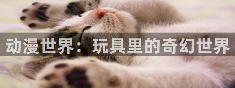 汗汗漫画免费登录页面看漫画免费：动漫世界：玩具里的奇幻世界