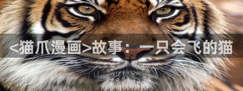 汗汗漫画网首页：<猫爪漫画>故事：一只会飞的猫
