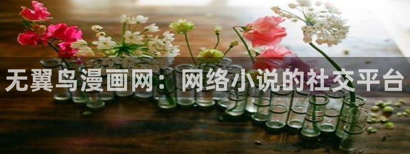 汗汗漫画链接：无翼鸟漫画网：网络小说的社交平台