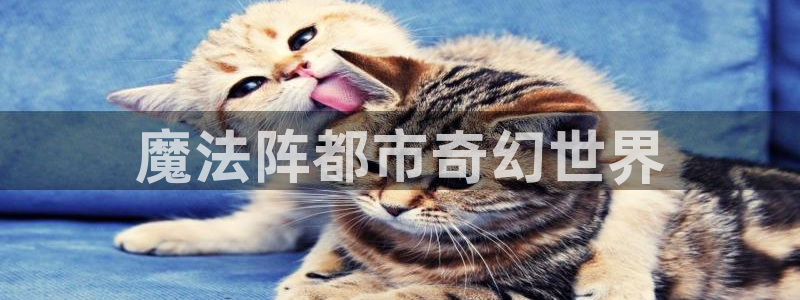 汗汗漫画sss免费入口yy：魔法阵都市奇幻世界