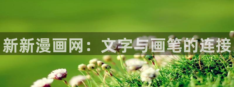 艳母汗汗漫画：新新漫画网：文字与画笔的连接