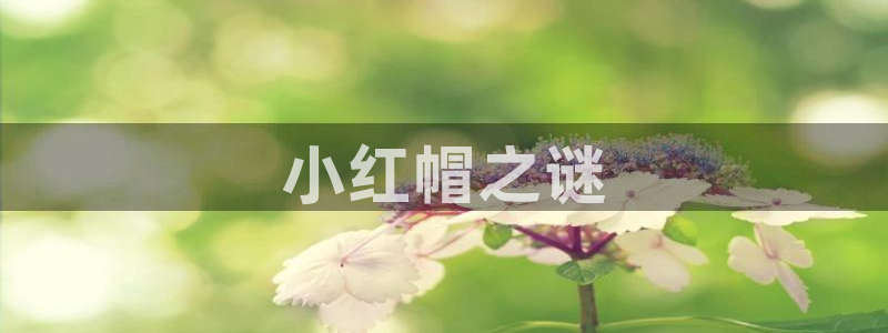 汗汗漫画官方：小红帽之谜