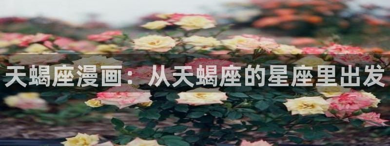 汗汗漫画免费在线看：天蝎座漫画：从天蝎座的星座里出发