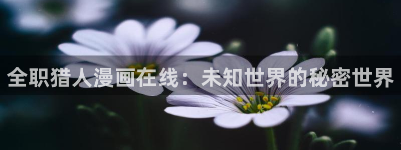 yg10 aqq一个致敬汗汗漫画：全职猎人漫画在线：未知世界的秘密世界