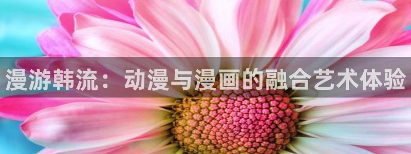 汗汗漫画私密教学：漫游韩流：动漫与漫画的融合艺术体验