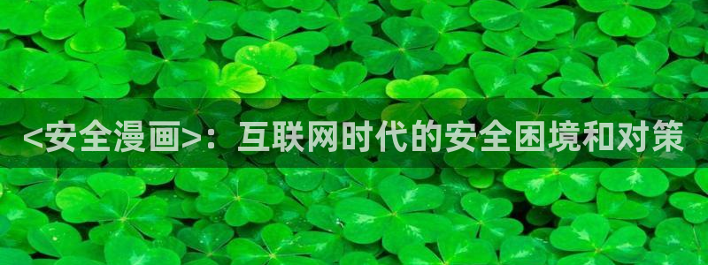 汗汗漫画弹窗：<安全漫画>：互联网时代的安全困境和对策