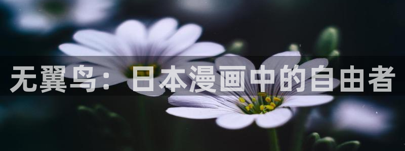 汗汗漫画网站官网