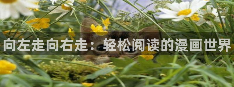 汗汗漫画阅读
