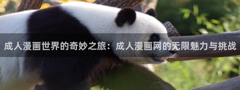 汗汗漫画登录首页