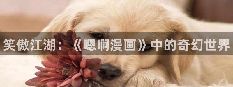汗汗漫画首页免费