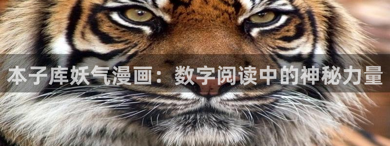 汗汗漫画排行