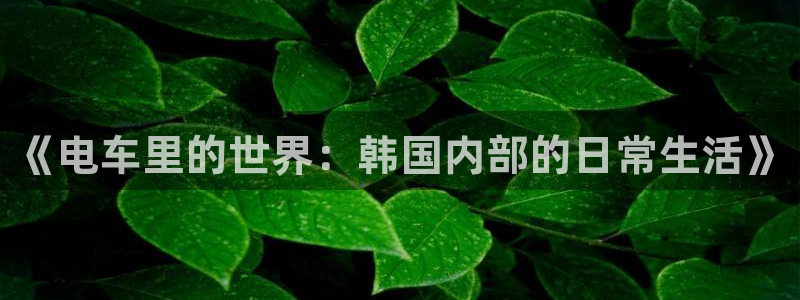 汗汗漫画首页限免：《电车里的世界：韩国内部的日常生活》